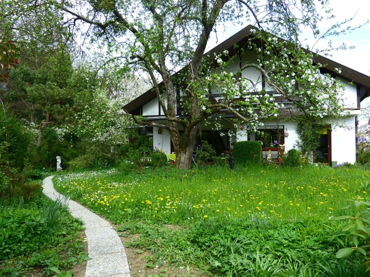 a white house sitting on top of a lush green field, a photo, by Elfriede Lohse-Wächtler, flickr, art nouveau, garden with fruits on trees, blossoming path to heaven, anato finnstark. front view, passive house