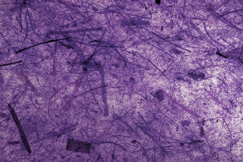 a close up of purple paint on a wall, a microscopic photo, by Anna Füssli, on a botanical herbarium paper, nerve cells, hi resolution, debris