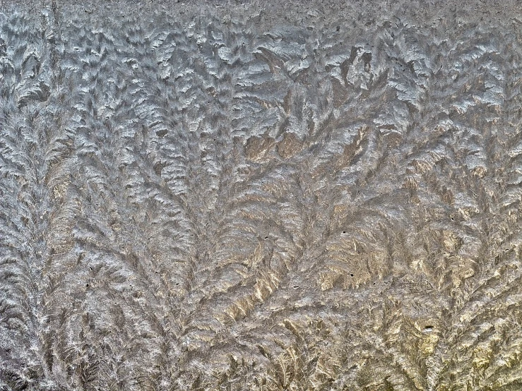 a close up of frost on a window, inspired by Arthur Burdett Frost, flickr, lyrical abstraction, intricate detail realism hdr, palm pattern visible, swirling schools of silver fish, at sunrise