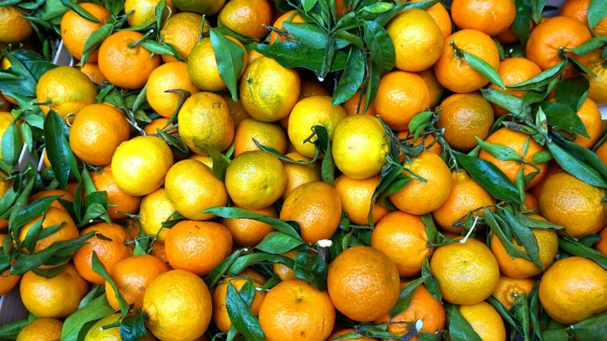 a pile of oranges sitting on top of each other, a photo, by Dietmar Damerau, trending on pixabay, art nouveau, 😃😀😄☺🙃😉😗, naples, grain”, avatar image