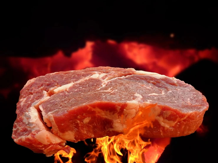 a piece of meat sitting on top of a flaming flaming flaming flaming flaming flaming flaming flaming flaming flaming flaming flaming flaming flaming flaming flaming flaming flaming flaming, a picture, by Juan O'Gorman, shutterstock, realism, hephaestus, 4k detail, stock photo, accurate and detailed