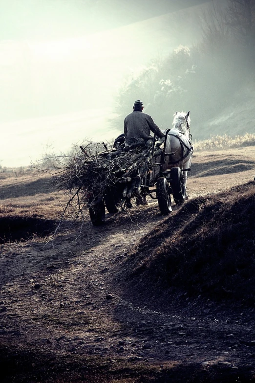 a man riding on the back of a horse drawn carriage, a tilt shift photo, by Dariusz Zawadzki, romanticism, old man doing hard work, forest clearing, style of ade santora, mine cart