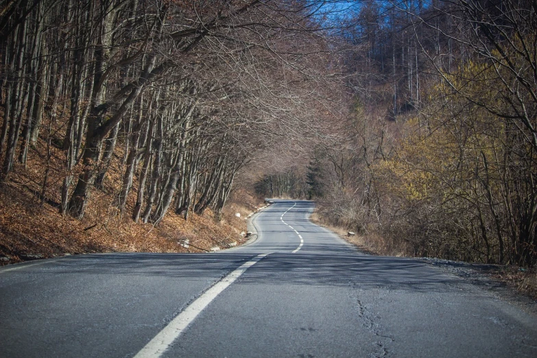 a man riding a skateboard down a curvy road, a picture, by Hristofor Žefarović, shutterstock, folk art, sparse bare trees, landscape 35mm veduta photo, cars on the road, early spring