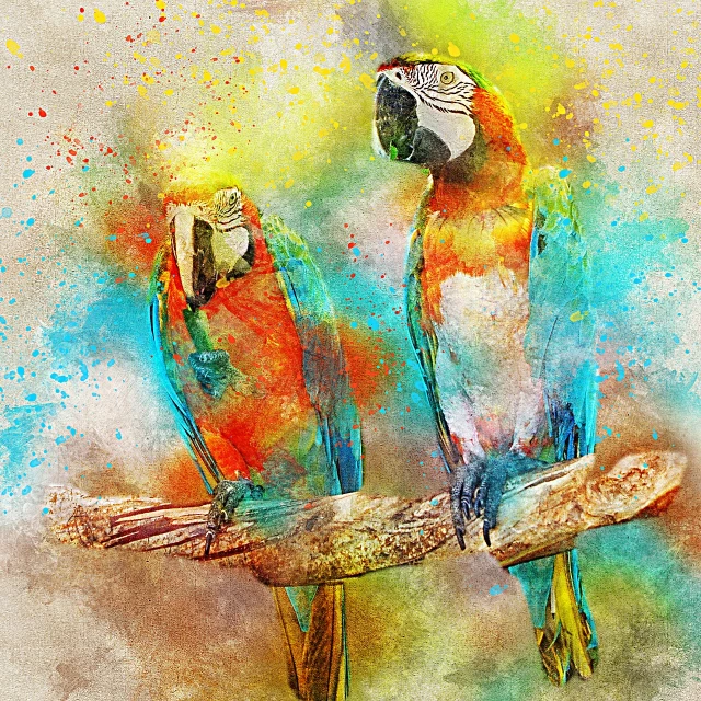 two colorful parrots sitting on a tree branch, by Lucia Peka, fine art, trending digital art, colour splash, istock, grungy; colorful
