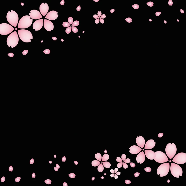 a bunch of pink flowers on a black background, a stock photo, sōsaku hanga, vortex of plum petals, background is white and blank, smooth gradation, falling cherry blossom pedals