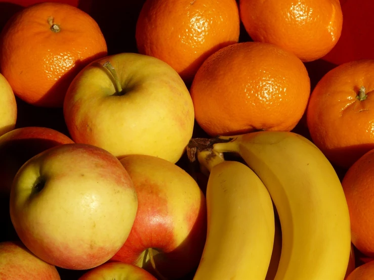 a pile of oranges, apples, and bananas, portrait image, full of colour 8-w 1024, reduced contrast, sunlit