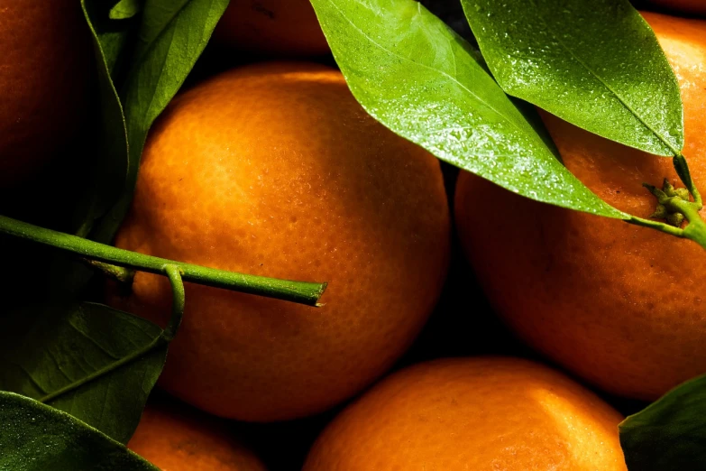 a close up of a bunch of oranges with leaves, a stock photo, by Dietmar Damerau, process art, phone wallpaper, high detail product photo, bottom body close up, wallpaper mobile