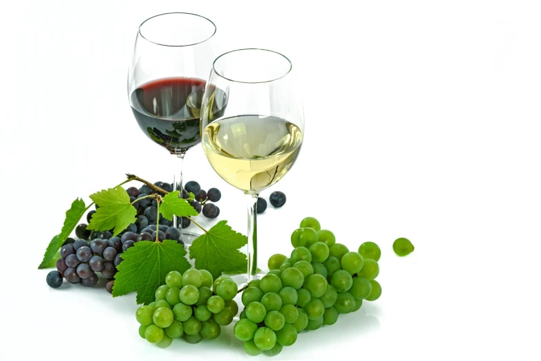 two glasses of wine and a bunch of grapes, a picture, white background!!!!!!!!!!, green and white, istockphoto, red and white and black colors
