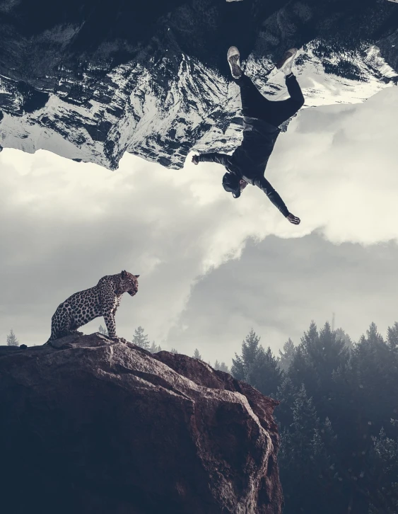 a man standing on top of a rock next to a cheetah, inspired by mads berg, pexels contest winner, surrealism, she is floating in the air, hq 4k phone wallpaper, sinking into madness, cat is floating in air