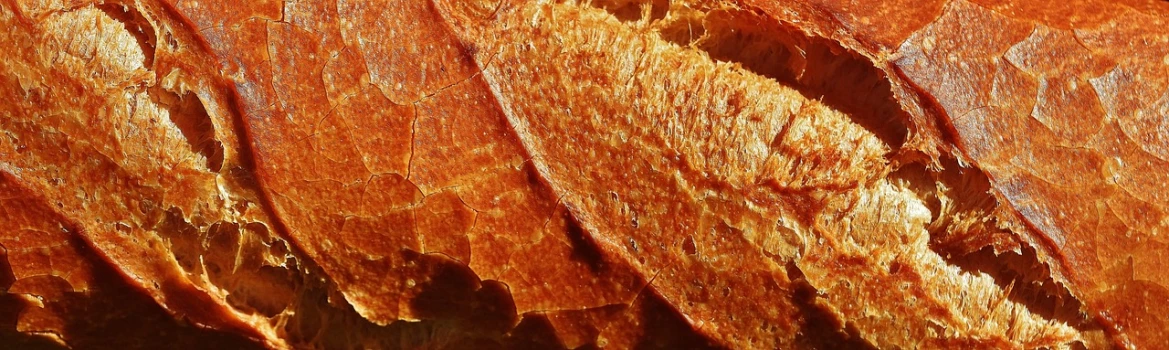 a close up of a piece of bread, a macro photograph, by Tom Carapic, flickr, autumnal, sycamore, varnished, detailed light