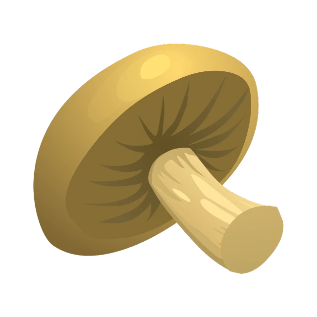 a close up of a mushroom on a black background, an illustration of, mingei, game icon asset, sharp high detail illustration, computer generated, everyday plain object