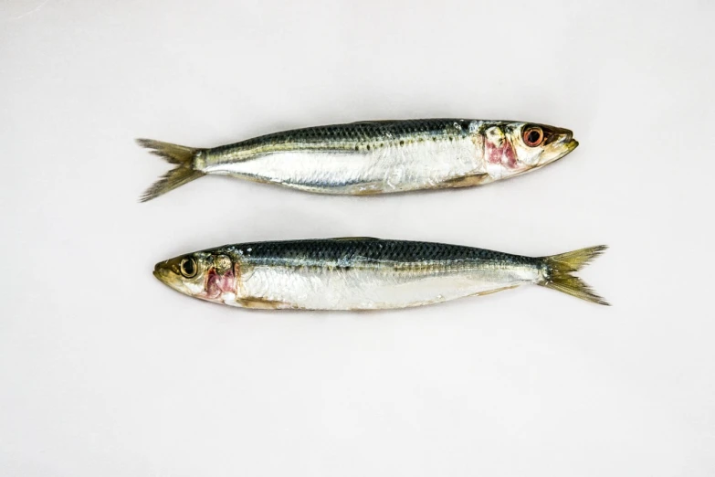 a couple of fish sitting on top of a white surface, shutterstock, mingei, close up to a skinny, miniature product photo, long chin, stock photo