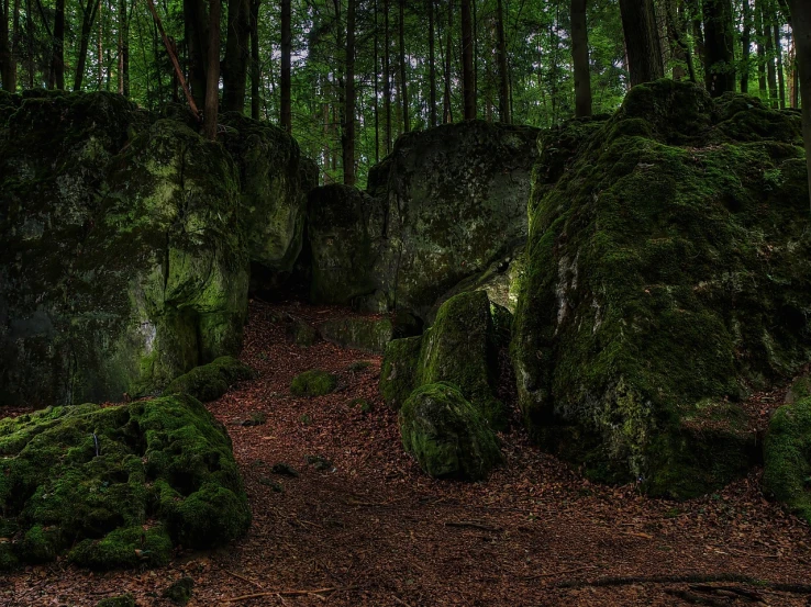 a forest filled with lots of green moss covered rocks, by Joseph von Führich, flickr, the entrance of valhalla, hdr, maus in forest, ((rocks))