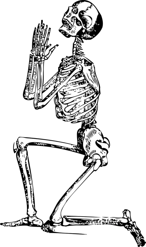 a black and white drawing of a skeleton, vector art, inspired by Muirhead Bone, pixabay, digital art, amoled wallpaper, hunched over, style of bernie wrightson, 4k detail