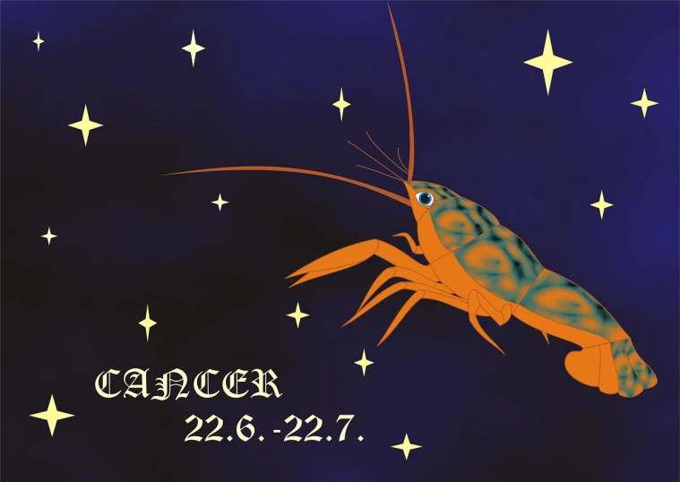 a close up of a shrimp with stars in the background, an illustration of, by Pamela Ascherson, shutterstock, art deco, 2 2 years old, banner, full body view, cartier