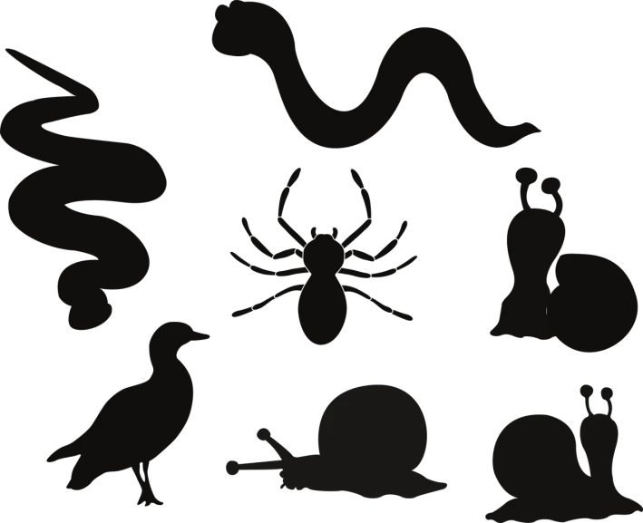 various silhouettes of animals and birds on a black background, surrealism, fear of spiders, background image, snakes, momoshiki ōtsutsuki