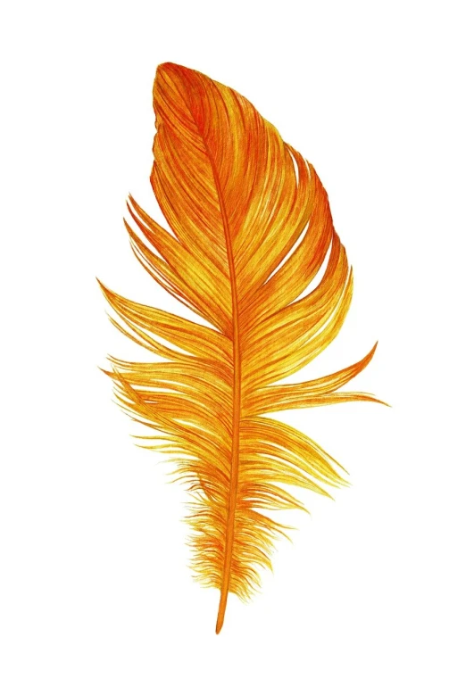 a close up of a feather on a white background, an illustration of, fine art, marigold celestial vibe, rich bright sunny colors, gold paint, iphone photo