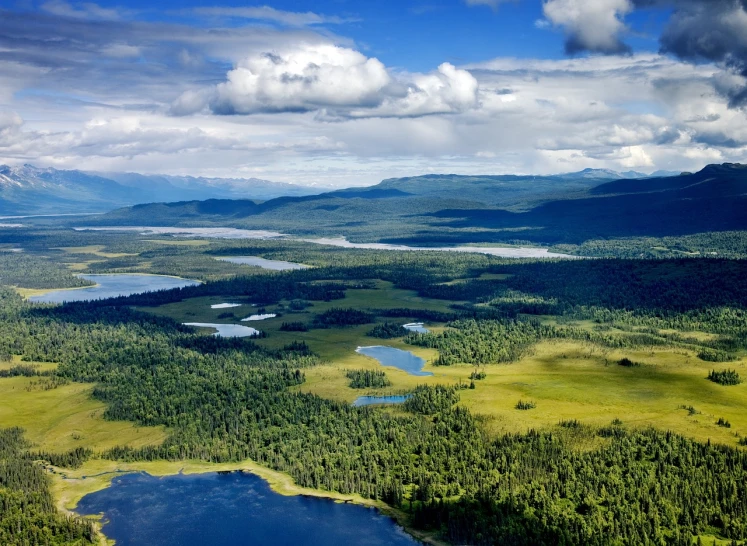 a large body of water surrounded by a lush green forest, by Dietmar Damerau, shutterstock, hurufiyya, desolate arctic landscape, aerial view of an ancient land, joseph todorovitch ”