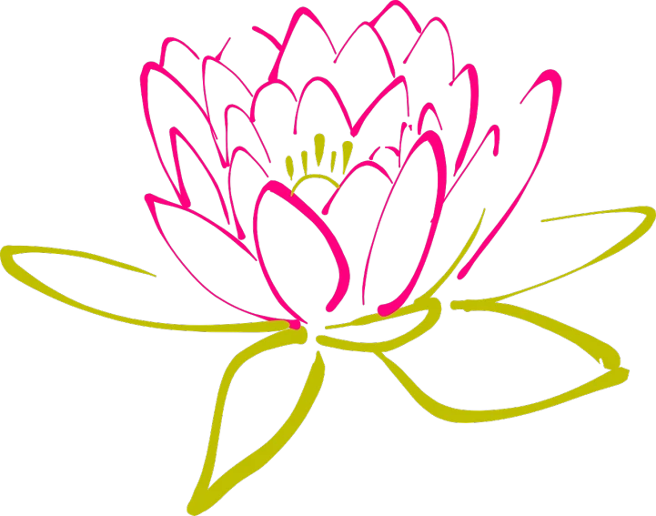 a pink and yellow flower on a black background, inspired by Masamitsu Ōta, lotus flowers on the water, outline glow, drawn in microsoft paint, front side view