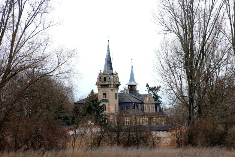 a large building sitting in the middle of a forest, a photo, by Karl Hagedorn, pixabay, art nouveau, black domes and spires, an old abandoned mansion, telephoto long distance shot, isolated