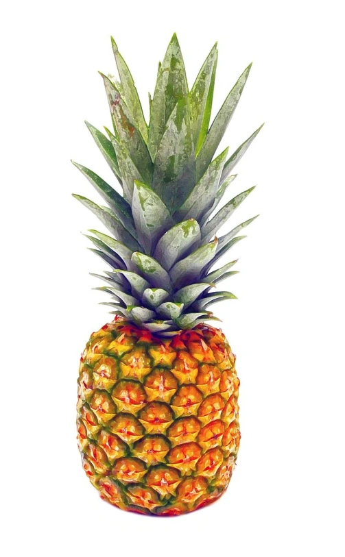 a close up of a pineapple on a white background, an illustration of, by Adam Marczyński, shutterstock, fine art, photorealistic digital painting, 1128x191 resolution, -h 1024, highly detailed and colored