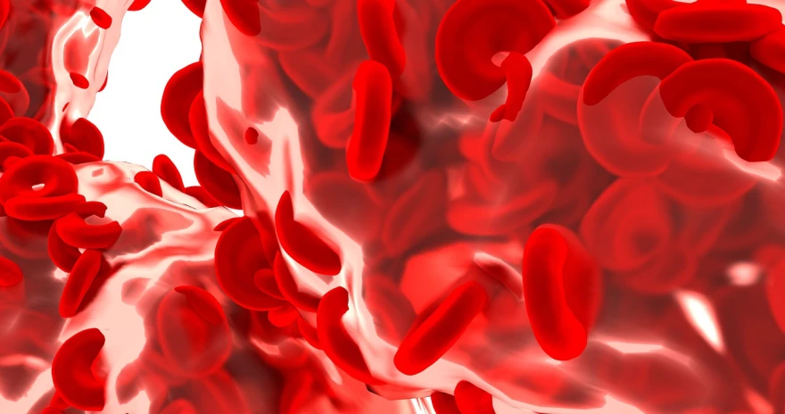 a group of red blood cells in a vein, a digital rendering, digital art, full shot photo, liquid shadows engulf, flowing blood-red colored silk, closeup photo