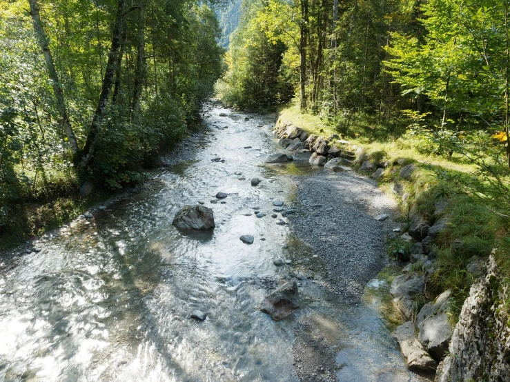 a stream running through a lush green forest, a picture, by Joseph von Führich, shutterstock, very detailed picture, alpine scenery, concert, bad photo