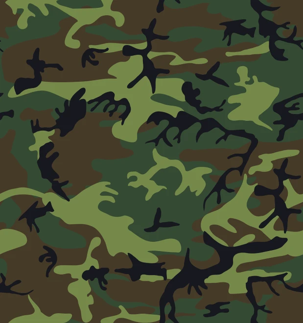 a close up of a camouflage pattern, an illustration of, hurufiyya, an illustration, illustration, forrest background, color vector