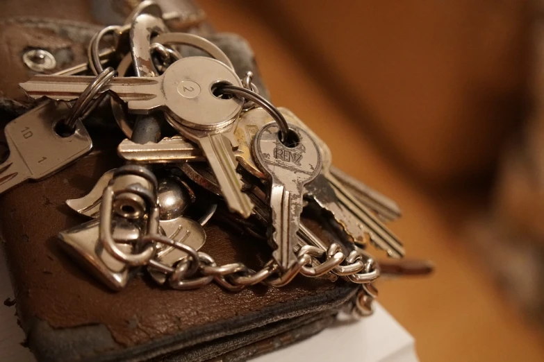 a bunch of keys sitting on top of a wallet, a macro photograph, by Jesper Knudsen, 2 4 mm iso 8 0 0, chain, my home, 1/1250sec at f/2.8