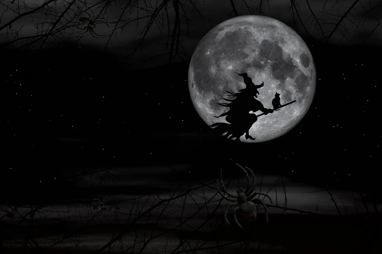 a witch on a broom flying in front of a full moon, a photo, digital art, shadowy creatures, screensaver, moonwalker photo, very scary photo