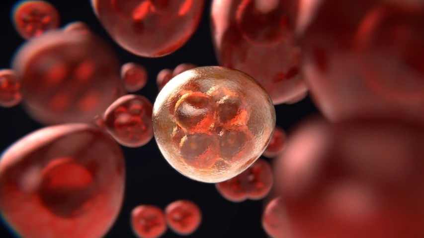 a close up view of a blood cell, a digital rendering, zbrush central, digital art, glass spheres, show from below, 8k octae render photo