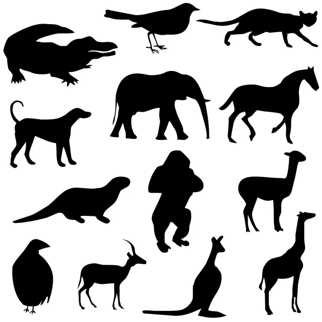 black silhouettes of animals and birds on a white background, vector art, sumatraism, !!! very coherent!!! vector art, polar, metallic, encyclopedia illustration