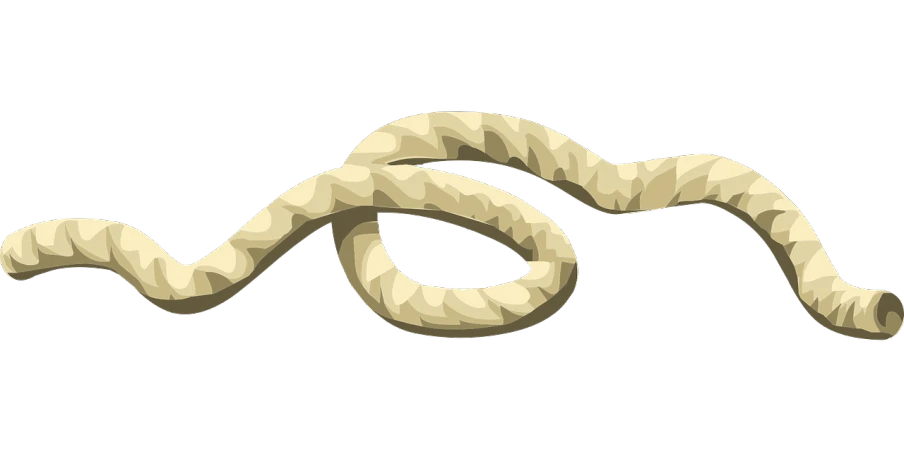 a close up of a snake on a black background, a digital rendering, deviantart, simple path traced, runescape, rope, ivory carved ruff