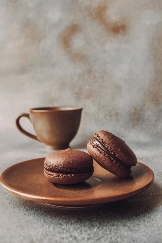 two chocolate macarons on a plate next to a cup, a still life, by Jan Kupecký, trending on pexels, background image, brown mist, 🦩🪐🐞👩🏻🦳, portrait of morning coffee