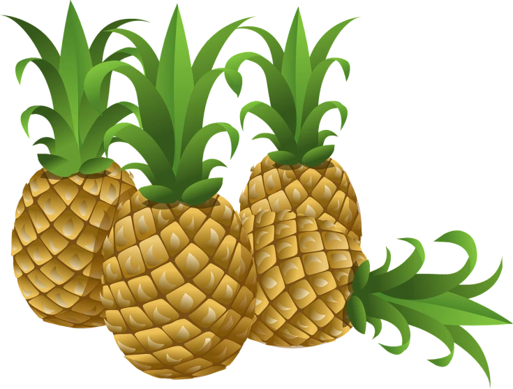 three pineapples with green leaves on a black background, pixabay, digital art, detailed vectorart, snacks, widescreen shot, no gradients