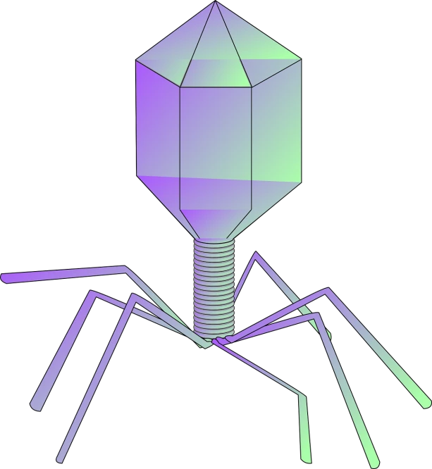 a close up of a spider on a black background, an illustration of, conceptual art, syringe, polyhedron, tank with legs, full color illustration