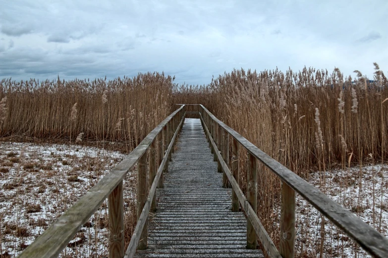 a wooden walkway over a snow covered field, by Mathias Kollros, shutterstock, phragmites, gloomy weather. high quality, upwards perspective, coast