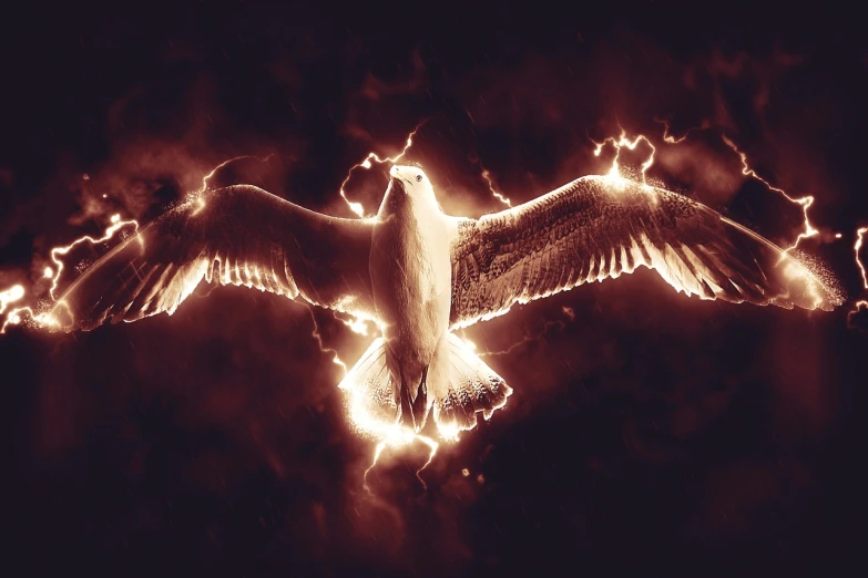 a bird that is flying in the air, digital art, pexels, digital art, burning white eyes, with glowing runes on the body, fire storm, full frame shot