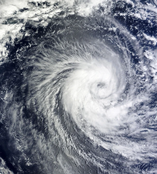 a black and white photo of a cyclone, a portrait, shutterstock, hurufiyya, satellite, imari, 2013, rum