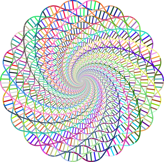 a multicolored spiral design on a black background, by Jon Coffelt, generative art, dna helix, lattice, spectral evolution, 2d