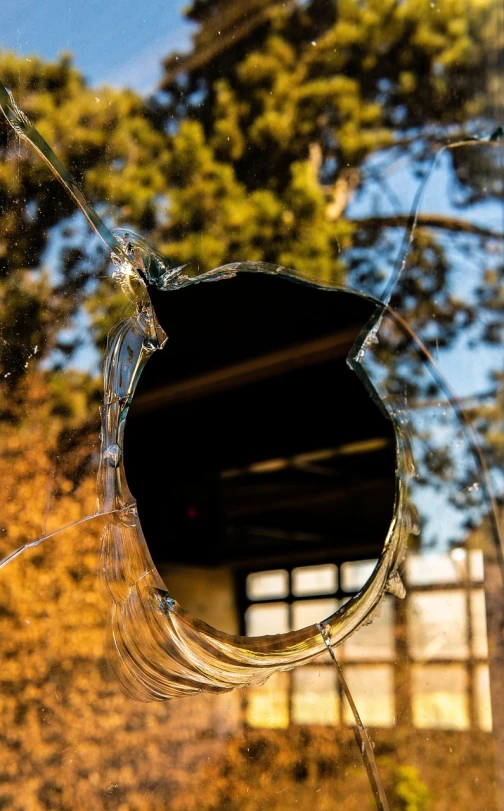 a close up of a broken window with a tree in the background, realism, shiny glossy mirror reflections, black round hole, morning golden hour, body shot
