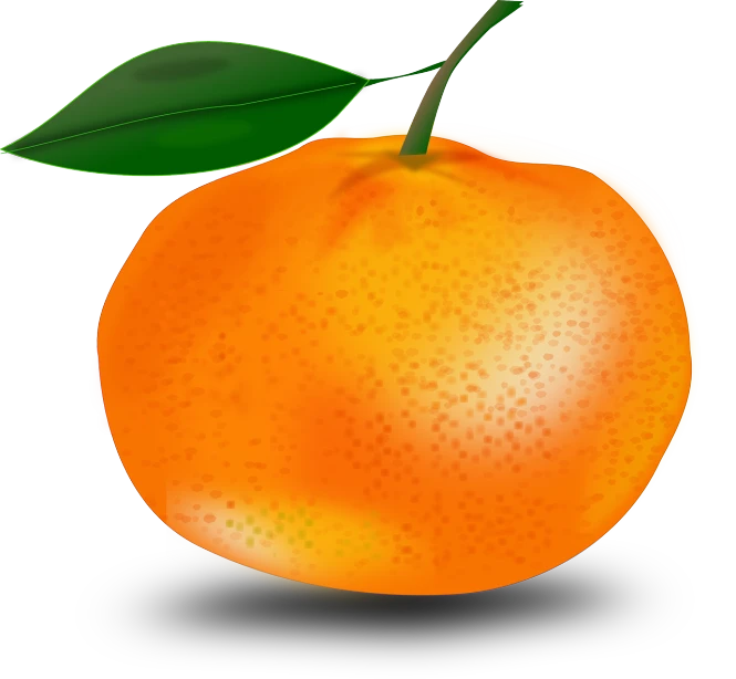 an orange with a leaf on top of it, inspired by Masamitsu Ōta, digital art, side - view, clip art, air brush illustration, group photo