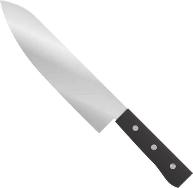 a close up of a knife on a black background, vector art, pixabay, hurufiyya, style of mirror\'s edge, famous chef gordon ramsey, transparent background, north korean slasher