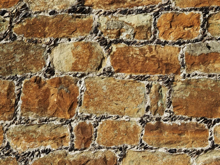 a red fire hydrant sitting in front of a brick wall, by Jan Kupecký, renaissance, skin texture details, many small stones, light - brown wall, detail shot