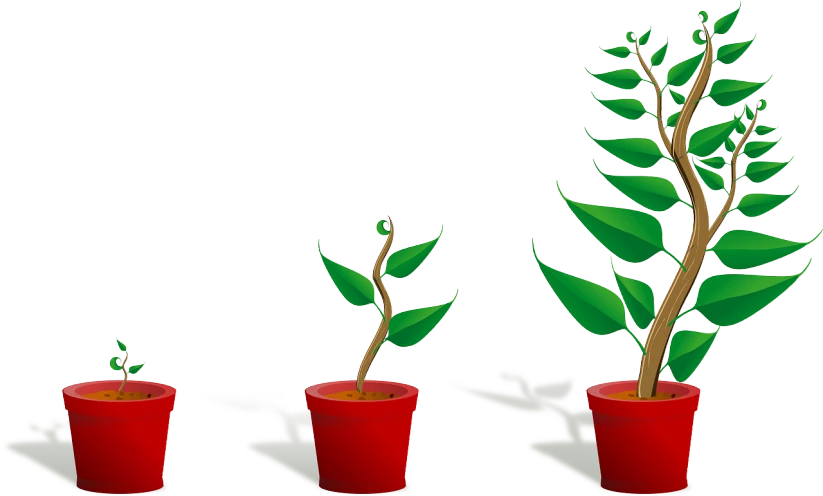 a couple of potted plants sitting next to each other, a digital rendering, pixabay, conceptual art, three views, small steps leading down, twisting leaves, in a row