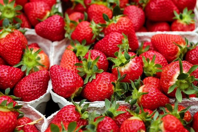 a close up of a bunch of strawberries, 555400831