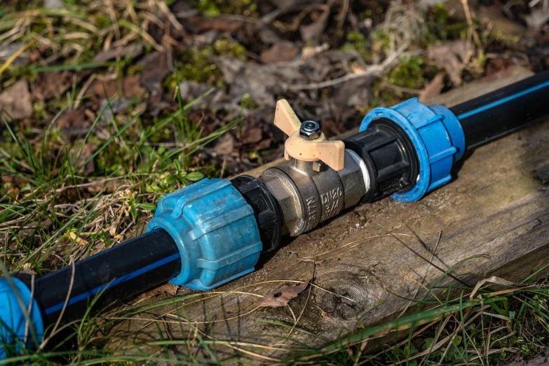 a blue hose laying on top of a piece of wood, a portrait, shutterstock, valves, woodland, irrigation, photograph taken in 2 0 2 0