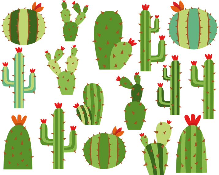 a variety of cactus plants on a black background, vector art, inspired by Juan O'Gorman, shutterstock contest winner, maximalism, background image, cut out collage, tucson arizona, spritesheet