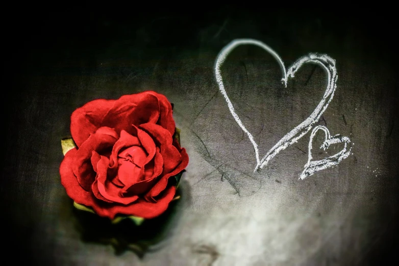 a red rose sitting next to a chalk drawing of a heart, a photo, pixabay, romanticism, amazing wallpaper, looking across the shoulder, well worn, ¯_(ツ)_/¯