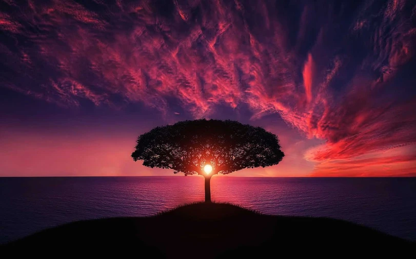 a tree sitting on top of a hill next to the ocean, a picture, surrealism, redpink sunset, tree of life seed of doubt, beautifully lit, purple and red